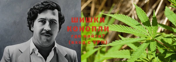 спайс Лагань