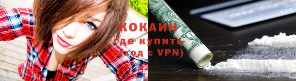 спайс Лагань