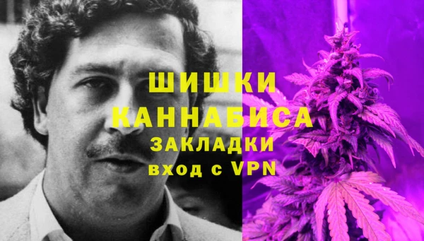 спайс Лагань