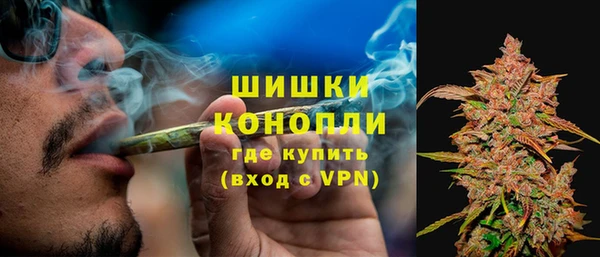 спайс Лагань
