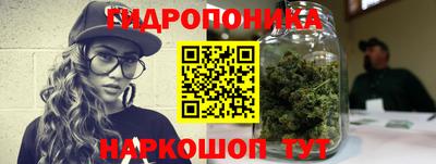 спайс Берёзовский