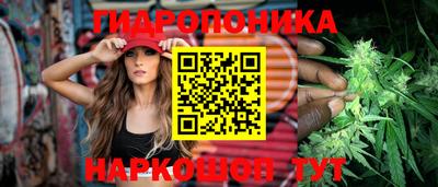 ГАЛЛЮЦИНОГЕННЫЕ ГРИБЫ Бийск