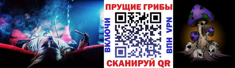 Галлюциногенные грибы Cubensis  kraken tor  Долгопрудный 