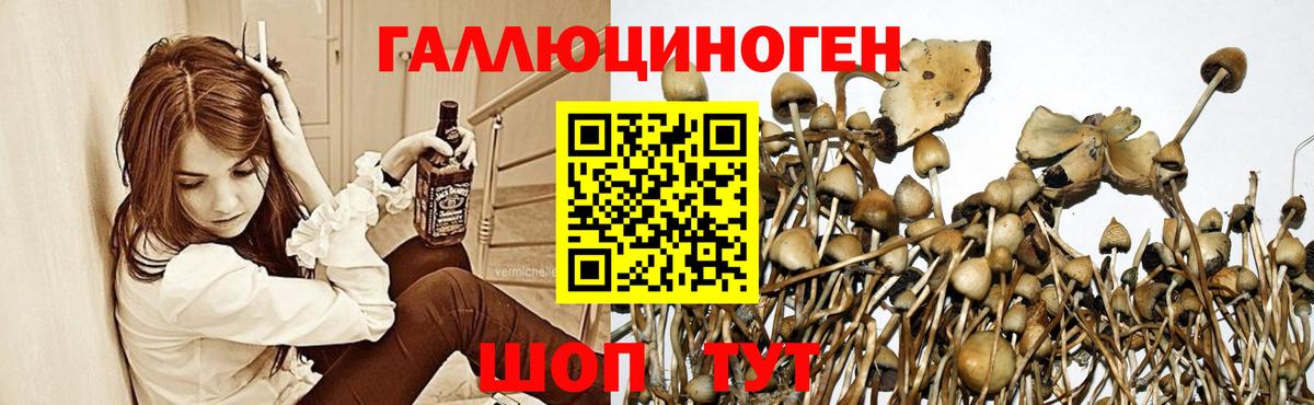 Галлюциногенные грибы ЛСД  Галлюциногенные грибы Psilocybine cubensis  Долгопрудный  Вход с VPN 