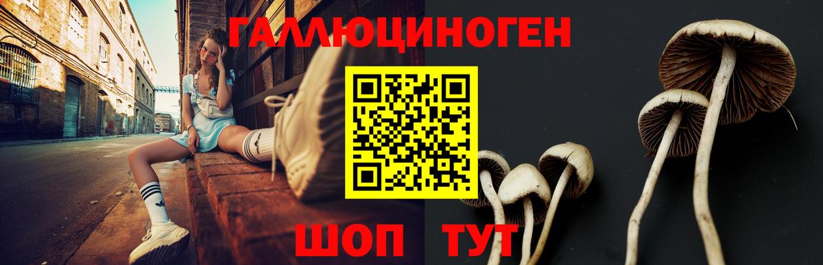 Псилоцибиновые грибы Cubensis Долгопрудный